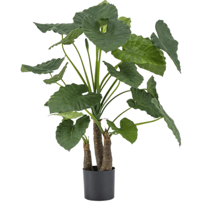 Alocasia Artificiale