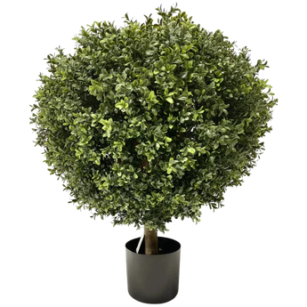 Bosso artificiale e conifera