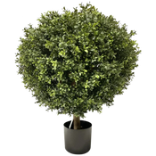 Bosso artificiale e conifera