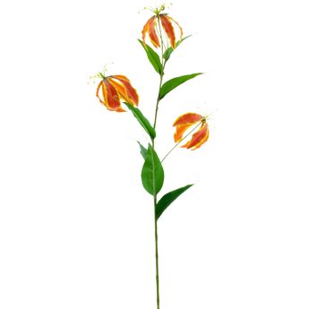 Arte Gloriosa