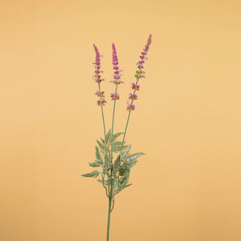 Lavanda finta