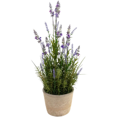 Lavanda finta