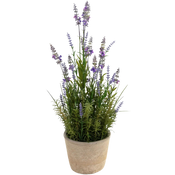 Lavanda finta