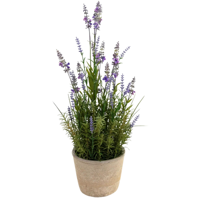 Lavanda finta