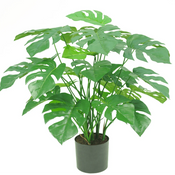 Monstera artificiale
