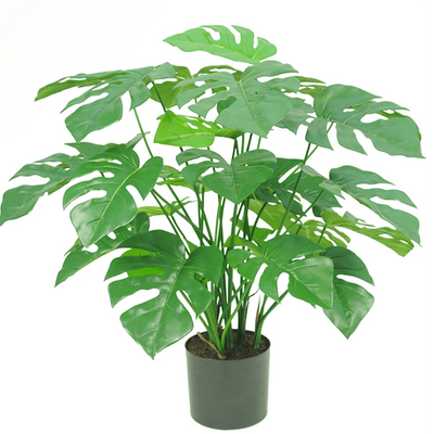 Monstera artificiale