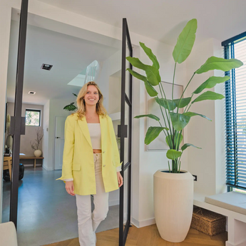 Strelitzia artificiale