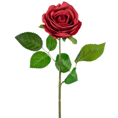 Rose finte