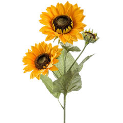 Girasoli finti