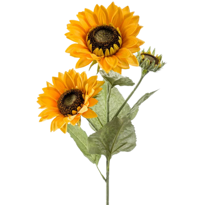 Girasoli finti