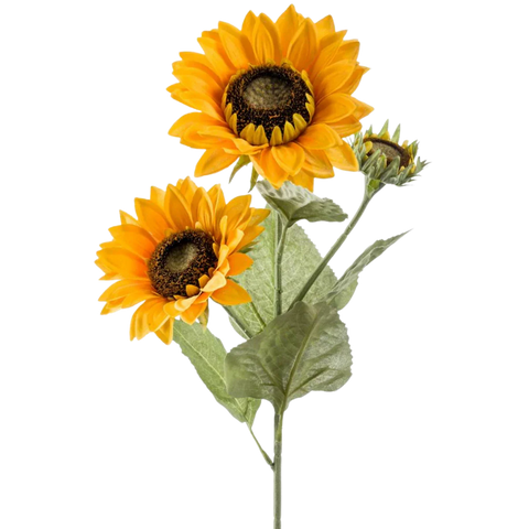 Girasoli finti