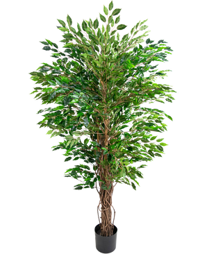 Pianta artificiale Hawaiian Ficus Liana 180 cm