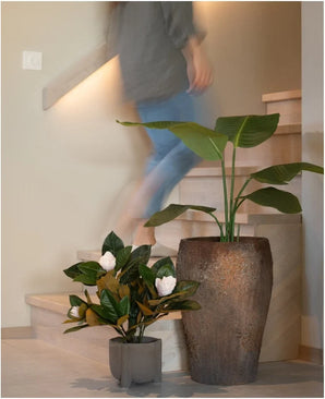 Una persona sale una scala di legno, supera due piante in vaso: una è la pianta di magnolia artificiale in un vaso da 46 cm con grandi foglie verdi, e l'altra è una piccola pianta di facile manutenzione con fiori bianchi. Entrambi sono posizionati ai piedi delle scale come elegante decorazione d'interni.