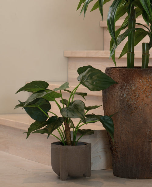 Una pianta in vaso con grandi foglie a forma di cuore poggia su un pavimento di legno chiaro vicino alle scale. Accanto c'è la Pianta Artificiale Alocasia Cucullata UV 53 cm in un vaso dalla struttura marrone.