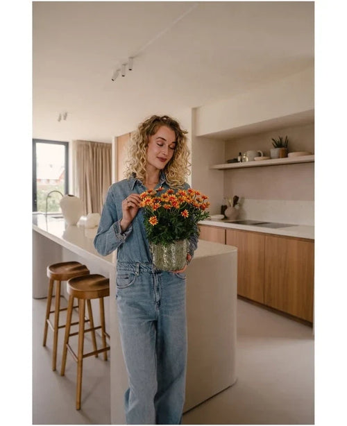 Una donna con i capelli biondi ricci, che indossa una camicia di jeans e jeans, si trova in una cucina moderna con una pianta artificiale Daisy UV di 31 cm tra le mani con fiori di colore arancione brillante. Accanto a lei ci sono due sgabelli di legno sull'isola della cucina.