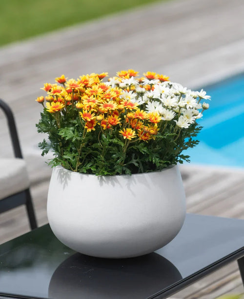 Una pianta artificiale Daisy UV di 31 cm, con margherite arancioni, gialle e bianche in un vaso bianco, si trova su un tavolo nero accanto ad una piscina con terrazza in legno.