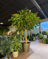 Melo artificiale di 240 cm con mele rosse realistiche in un vaso marrone, circondato da diverse piante in vaso verdi in uno showroom moderno e ben illuminato con porte e finestre in vetro. Questo impressionante pezzo interno di albero artificiale conferisce a qualsiasi stanza un aspetto vibrante e naturale.