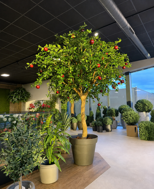 Melo artificiale di 240 cm con mele rosse realistiche in un vaso marrone, circondato da diverse piante in vaso verdi in uno showroom moderno e ben illuminato con porte e finestre in vetro. Questo impressionante pezzo interno di albero artificiale conferisce a qualsiasi stanza un aspetto vibrante e naturale.