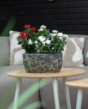 Una pianta artificiale Patio Rose 35 cm crema UV si trova su un tavolo rotondo in legno di fronte a un divano beige con cuscini fantasia.