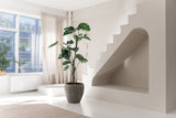 Minimalistische, zonovergoten kamer met grote ramen, een Kunstplant Monstera 210 cm, beige vloerkleed, unieke witte trap met een gewelfde nis eronder. Lichte gordijnen en een plantje op de vensterbank maken de serene ruimte compleet.