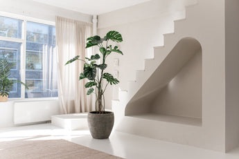 Minimalistische, zonovergoten kamer met grote ramen, een Kunstplant Monstera 210 cm, beige vloerkleed, unieke witte trap met een gewelfde nis eronder. Lichte gordijnen en een plantje op de vensterbank maken de serene ruimte compleet.