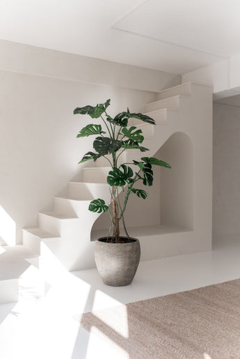 De Kunstplant Monstera 210 cm staat in een minimaal, zonovergoten interieur met witte muren, moderne lijnen, een trap en een beige vloerkleed. Zacht natuurlijk licht benadrukt het strakke ontwerp van de ruimte.