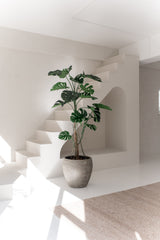 De Kunstplant Monstera 210 cm, met brede groene bladeren, staat op een witte vloer in een lichte, minimalistische kamer met witte muren, een trap en natuurlijk zonlicht.