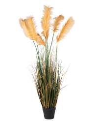 Erba di pampa artificiale 150 cm ignifuga