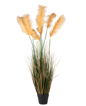 Un'erba di pampa artificiale da 200 cm, una pianta ignifuga con lunghe foglie verdi e pennacchi alti, piumati e color oro chiaro, raffigurata su un semplice sfondo bianco.