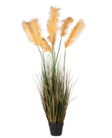 Un'erba di pampa artificiale da 200 cm, una pianta ignifuga con lunghe foglie verdi e pennacchi alti, piumati e color oro chiaro, raffigurata su un semplice sfondo bianco.