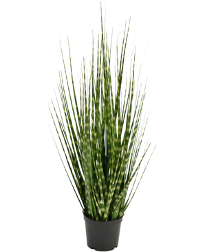 Kunsgrass Ramo di erba cipolla zebrata 56 cm ignifugo