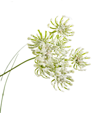 Erba artificiale fiore di cipolla 90cm ignifugo