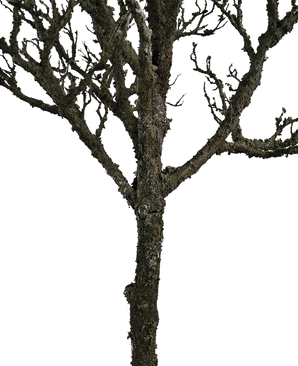 Albero decorativo artificiale con rami 180 cm