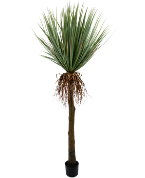 Piante Finte Yucca 153 cm