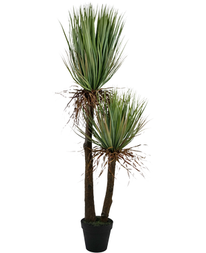 Yucca artificiale Deluxe 153 cm