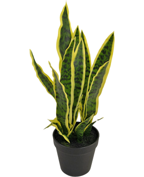 Piante Finte Sansevieria Laurentii 44 cm in vaso ornamentale