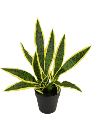 Piante Finte Sansevieria Laurentii 44 cm in vaso ornamentale