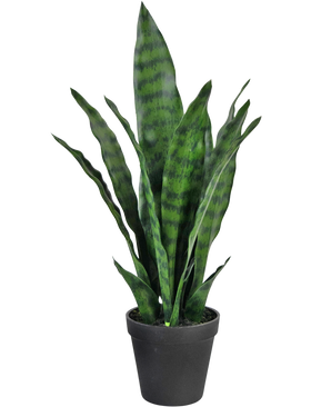 Piante Finte Sansevieria Zeylanica 44 cm