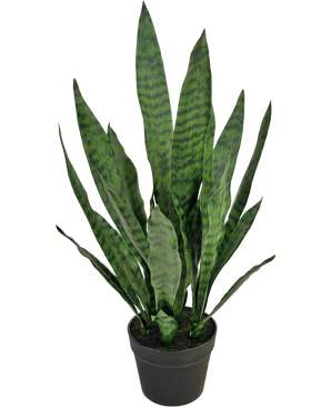 Piante Finte Sansevieria Zeylanica 71 cm