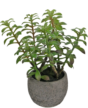 Succulenta artificiale in vaso ornamentale da 31 cm