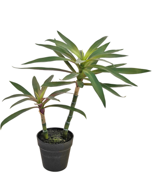 Piante Finte Yucca gigantea 53 cm