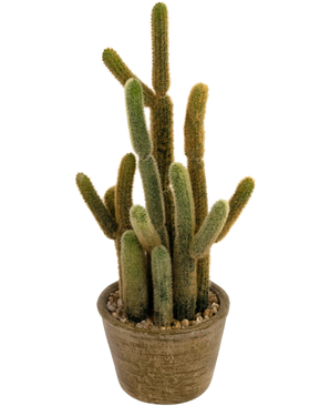 Cactus artificiale Cereus 35 cm