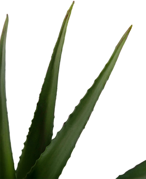 Piante Finte Aloe Vera 45 cm