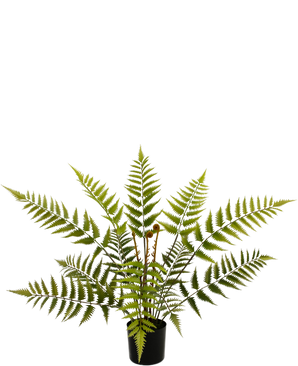 Piante Finte Fern 68 cm