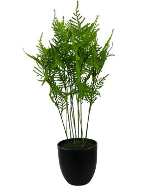 Piante Finte Asparagi 59 cm