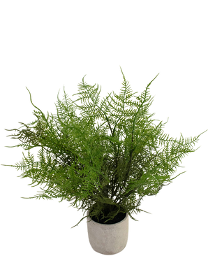 Piante Finte Asparagus 43 cm in vaso ornamentale