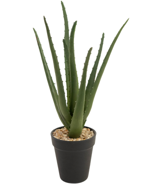 Piante Finte Aloe Vera 33 cm