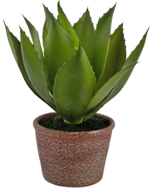 Piante Finte Agave 25 cm