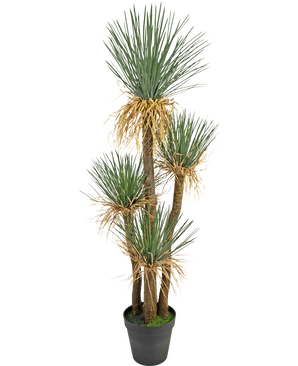 Piante Finte Yucca deluxe 182 cm