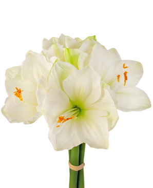 Fiore artificiale Amaryllis bianco 36 cm